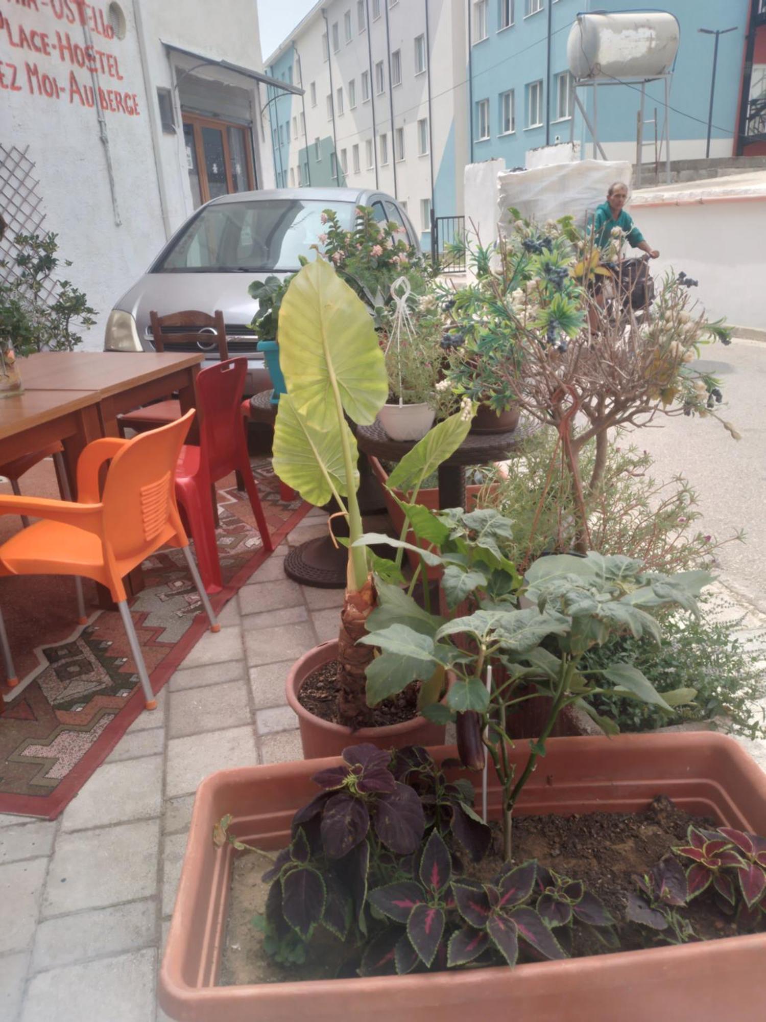 Auberge de jeunesse Casa Mia à Vlorë Extérieur photo