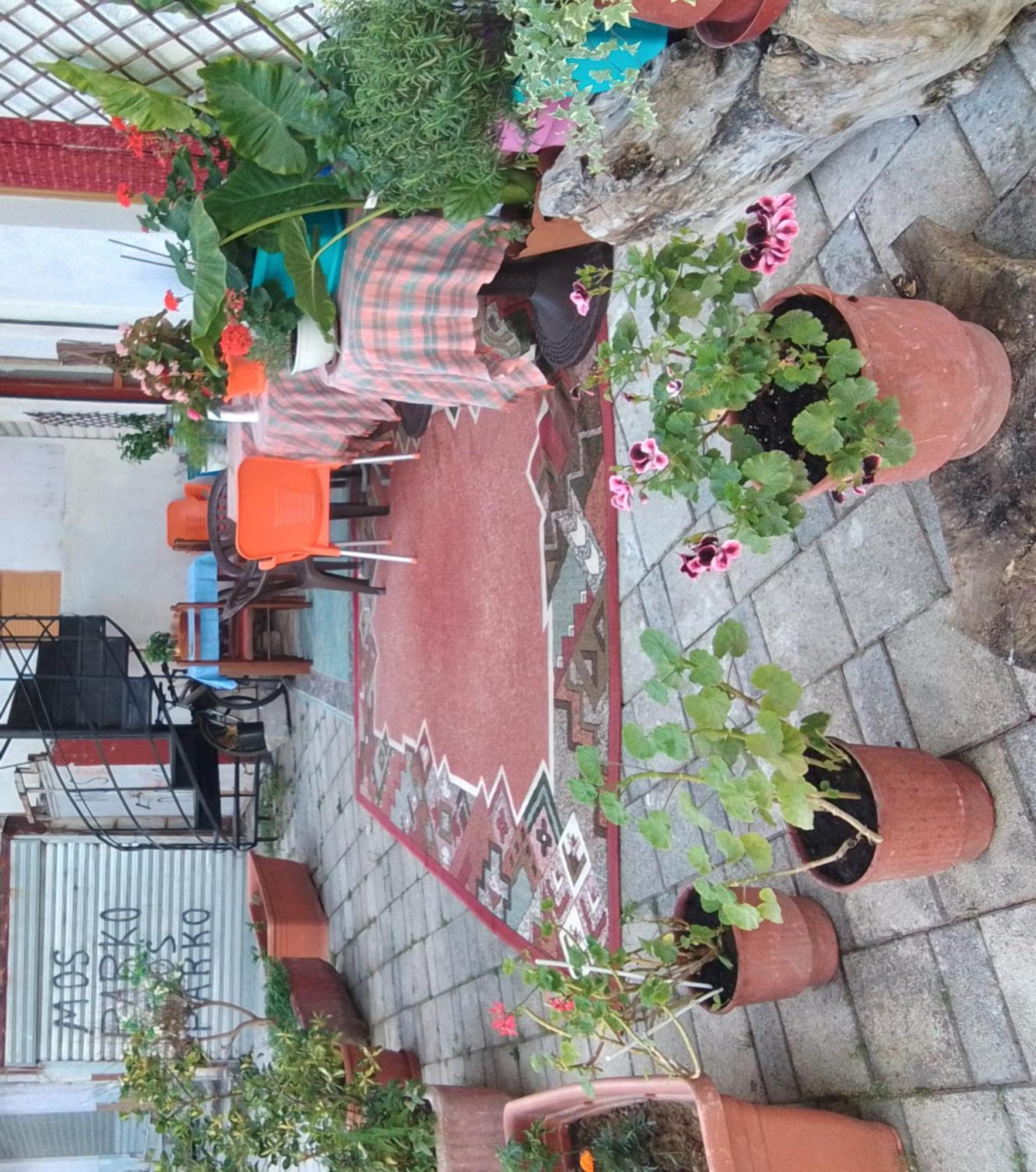 Auberge de jeunesse Casa Mia à Vlorë Extérieur photo