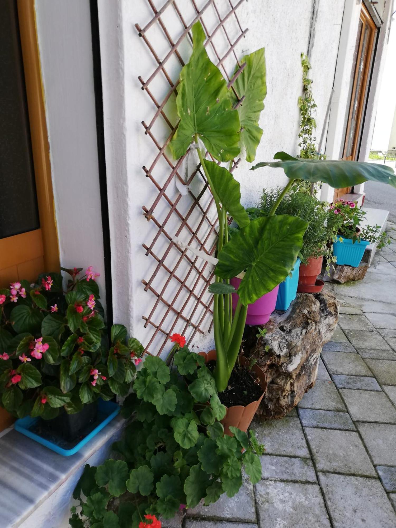 Auberge de jeunesse Casa Mia à Vlorë Extérieur photo
